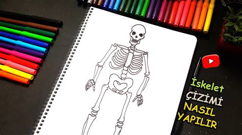 iskelet resmi nasıl çizilir